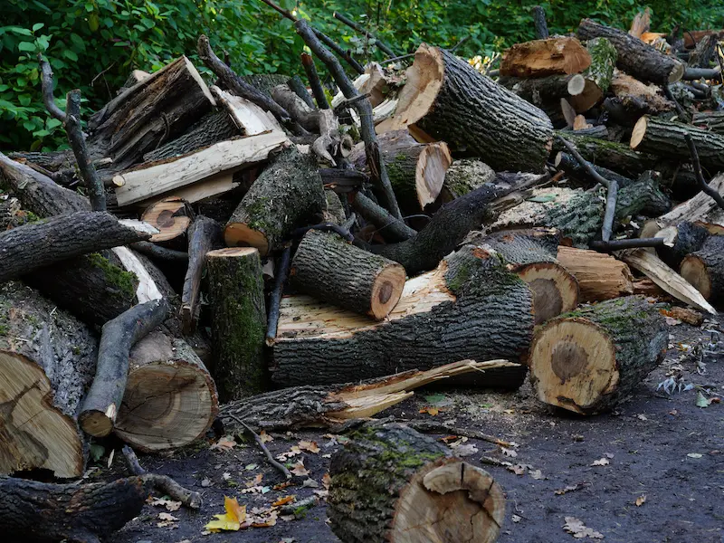 How we manage our green waste from tree surgery in North Wales