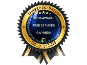 Three best rated tree services award